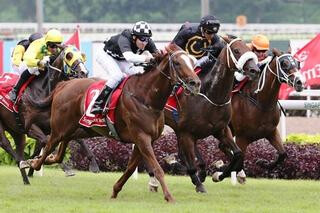 Well Done (NZ) heads Karaka Graduate clean sweep in the Sgp-1 Emirates Singapore Derby. Photo Credit: Singapore Turf Club.